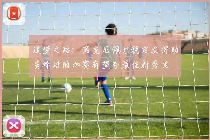 追梦之路：若克尼佩尔稳定发挥助黄蜂进附加赛有望夺最佳新秀奖